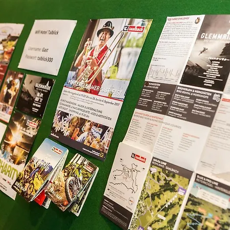 Talblick Saalbach-Hinterglemm