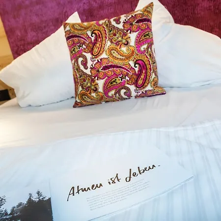 Talblick ザールバッハ・ヒンターグレム